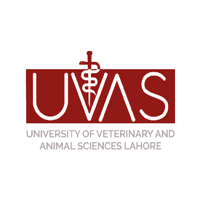Customer Logo 19